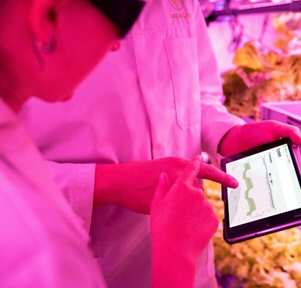 Maximize Your Growth 390755809 Digital Tools